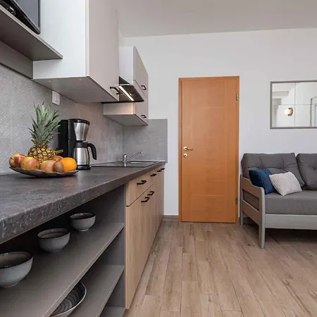 Apartment In Silo/insel Krk 13482 *